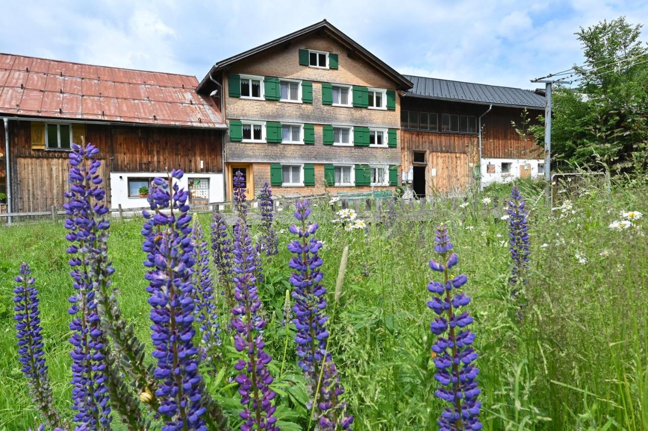 Ferienbauernhof Moosbrugger Apartment Schoppernau Exterior photo